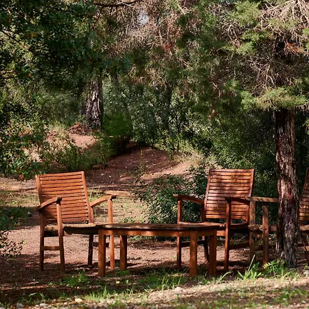 Can Coll Des Cocons Barefoot House 5Min From Pacha-3